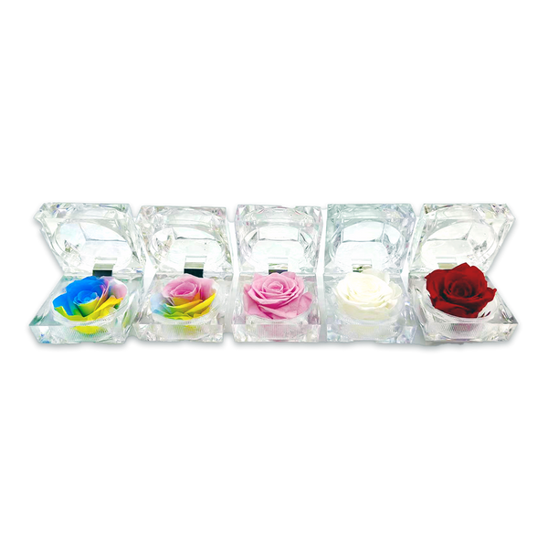 Diamond Real Preserved Rose Keepsake - 12 Pieces Per Retail Ready Display 25074