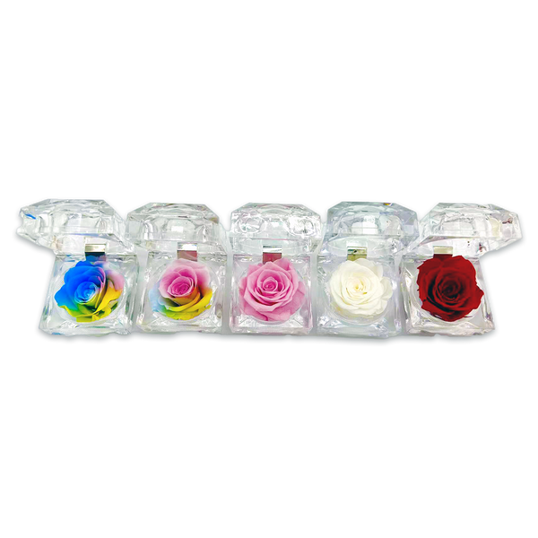 Diamond Real Preserved Rose Keepsake - 12 Pieces Per Retail Ready Display 24888