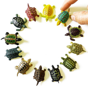Mini Turtles